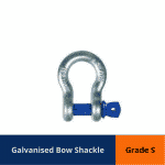 Bow Shackle